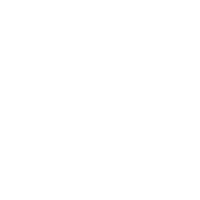 insurance icon