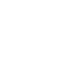 insurance icon