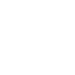 insurance icon