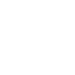 insurance icon
